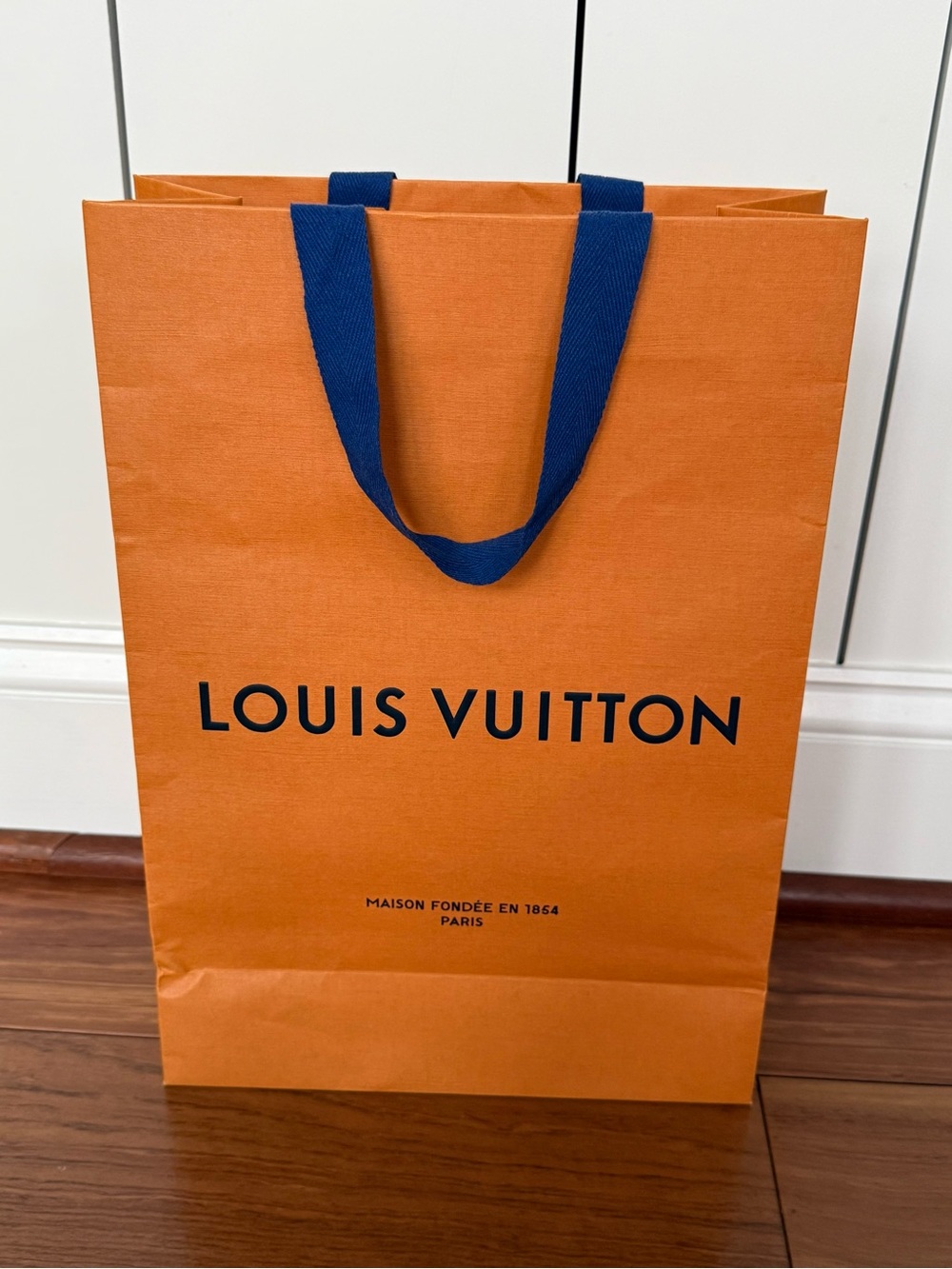 Louis Vuitton Luxury Boutique Shopping Bag — Iconic Orange & Blue💙🧡 - Picture 8 of 11